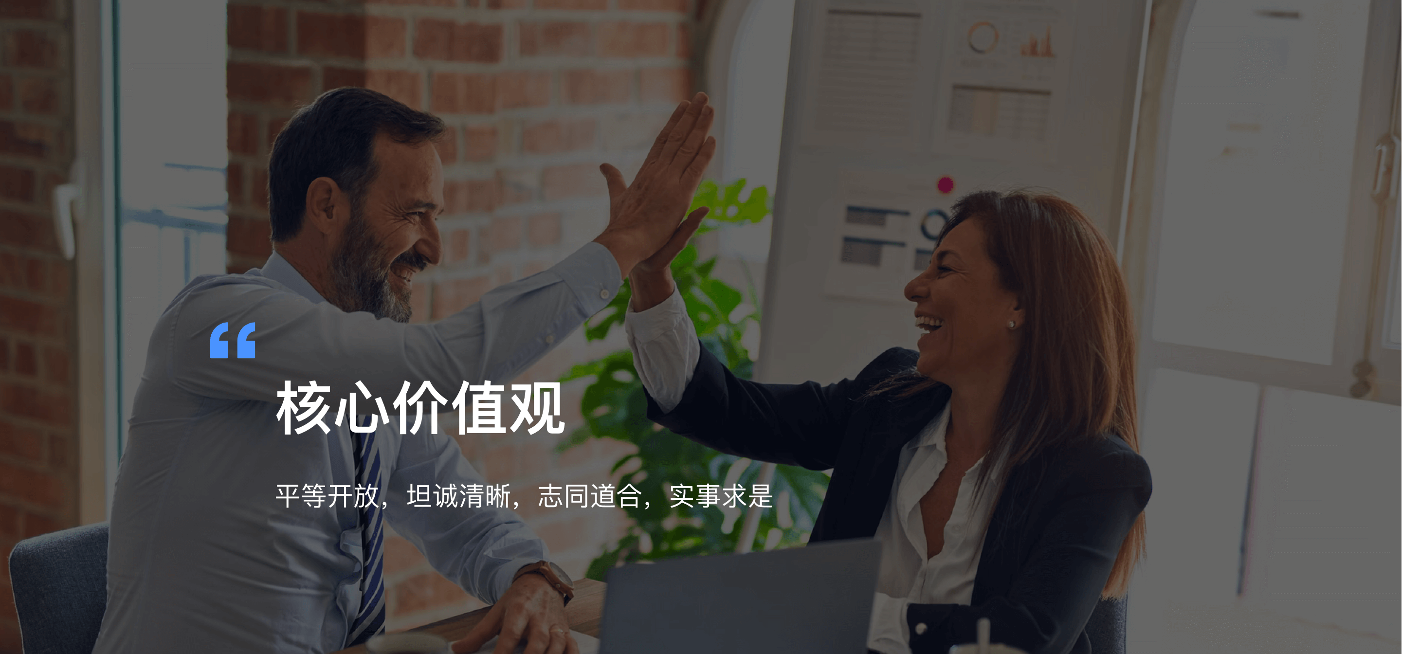 核心价值观：平等开放，坦诚清晰，志同道合，实事求是
